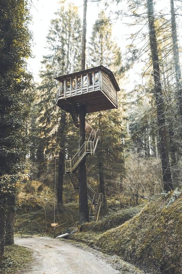 Cabane dans les arbres en Provence : Nuit perchée dans la nature provençale
