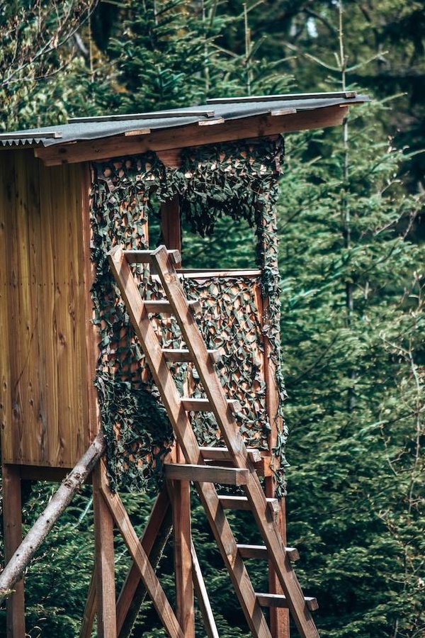 Cabane perchée en Provence : Évasion au sommet des arbres