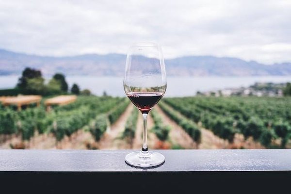 Chambre d'hôtes dans un vignoble en Provence : Dégustation et détente