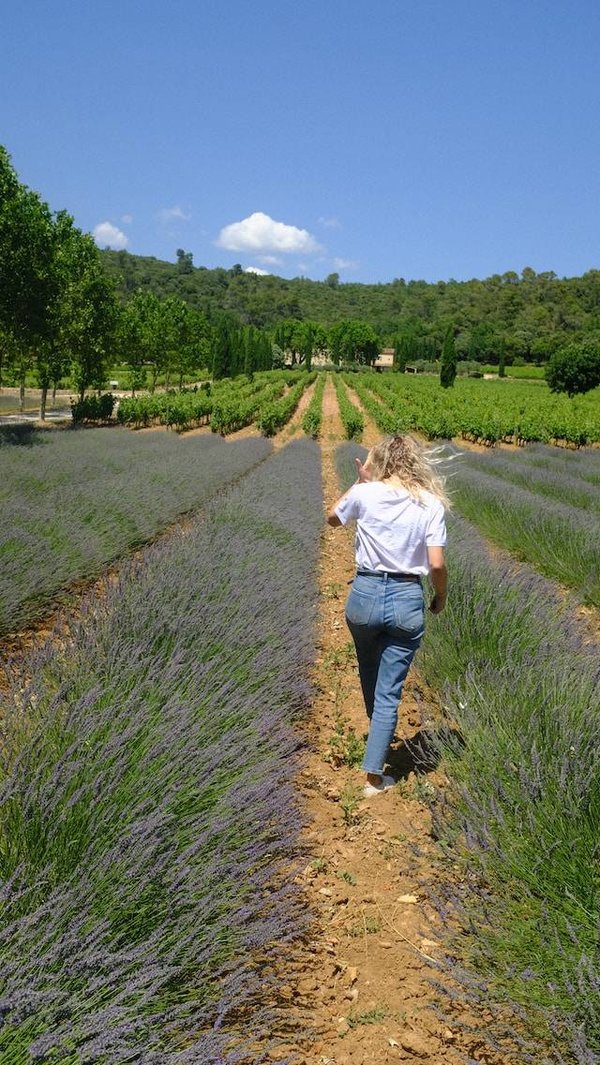 Chambre d'hôtes pour faire de la randonnée en Provence : Découvrez les sentiers pittoresques