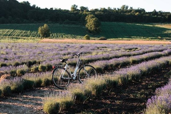 Chambre d'hôtes pour faire du vélo en Provence : Explorez la région à deux roues