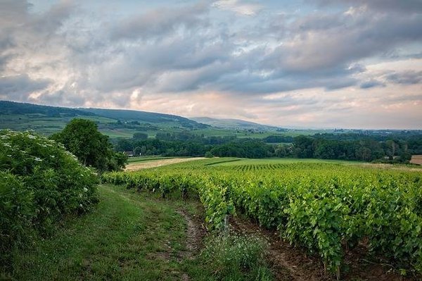 Découvrez la Provence et sa culture unique à travers des activités ludiques