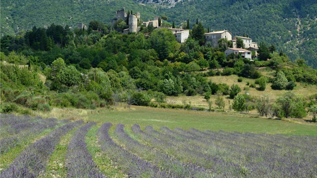 Guide ultime pour un séjour inoubliable en Provence